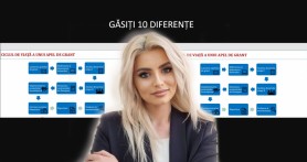Ce poate fi mai grav decât hoția intelectuală? Munca unei experte în granturi, furată de „specialiștii” din domeniu